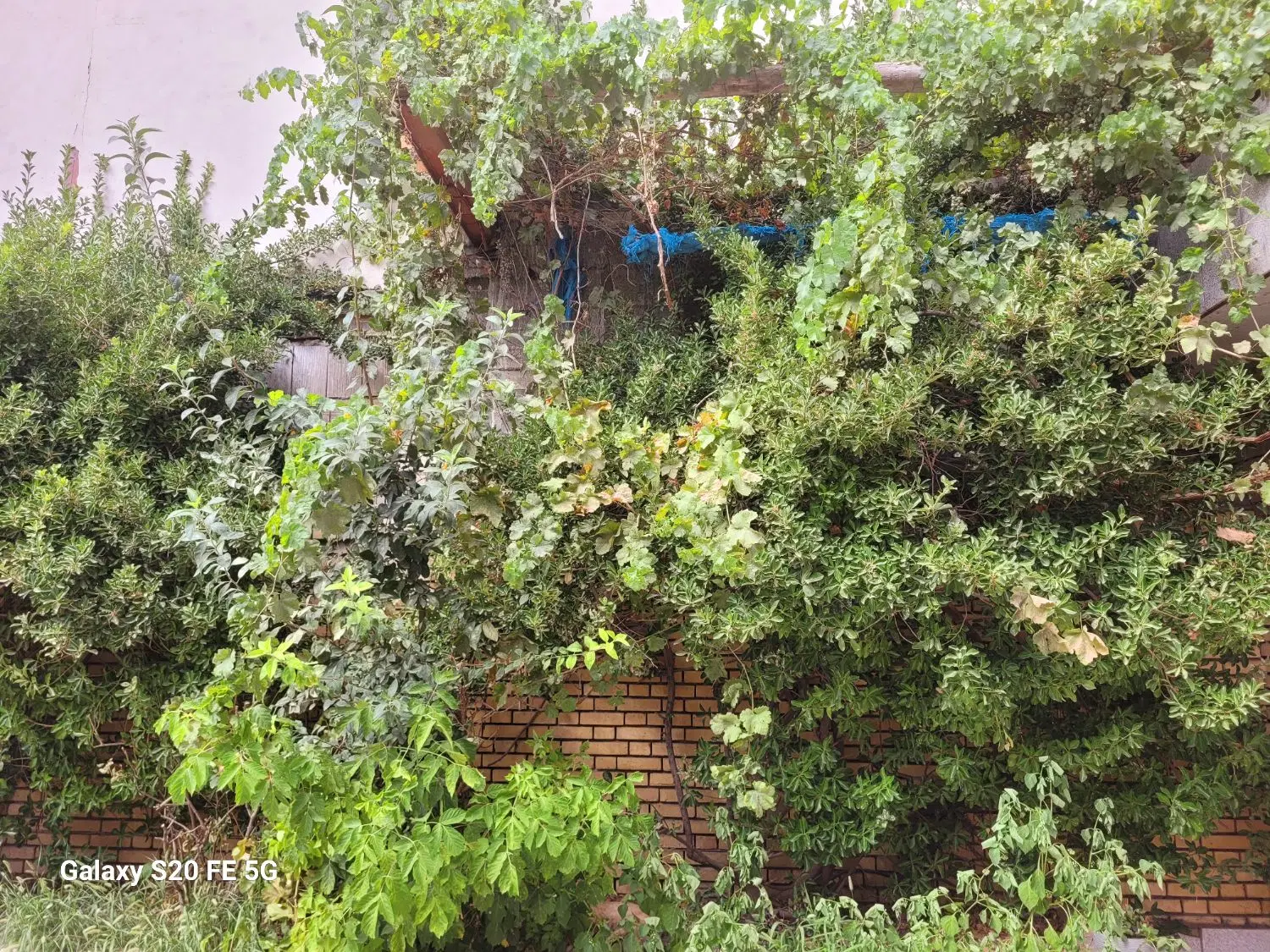 عکس 1 ملک 1145