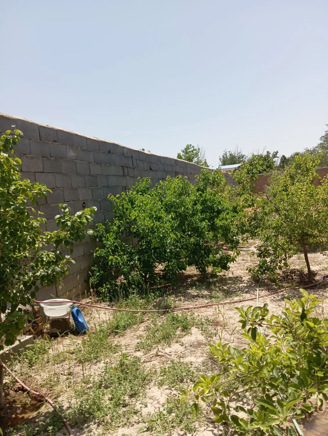 عکس 2 ملک 1183