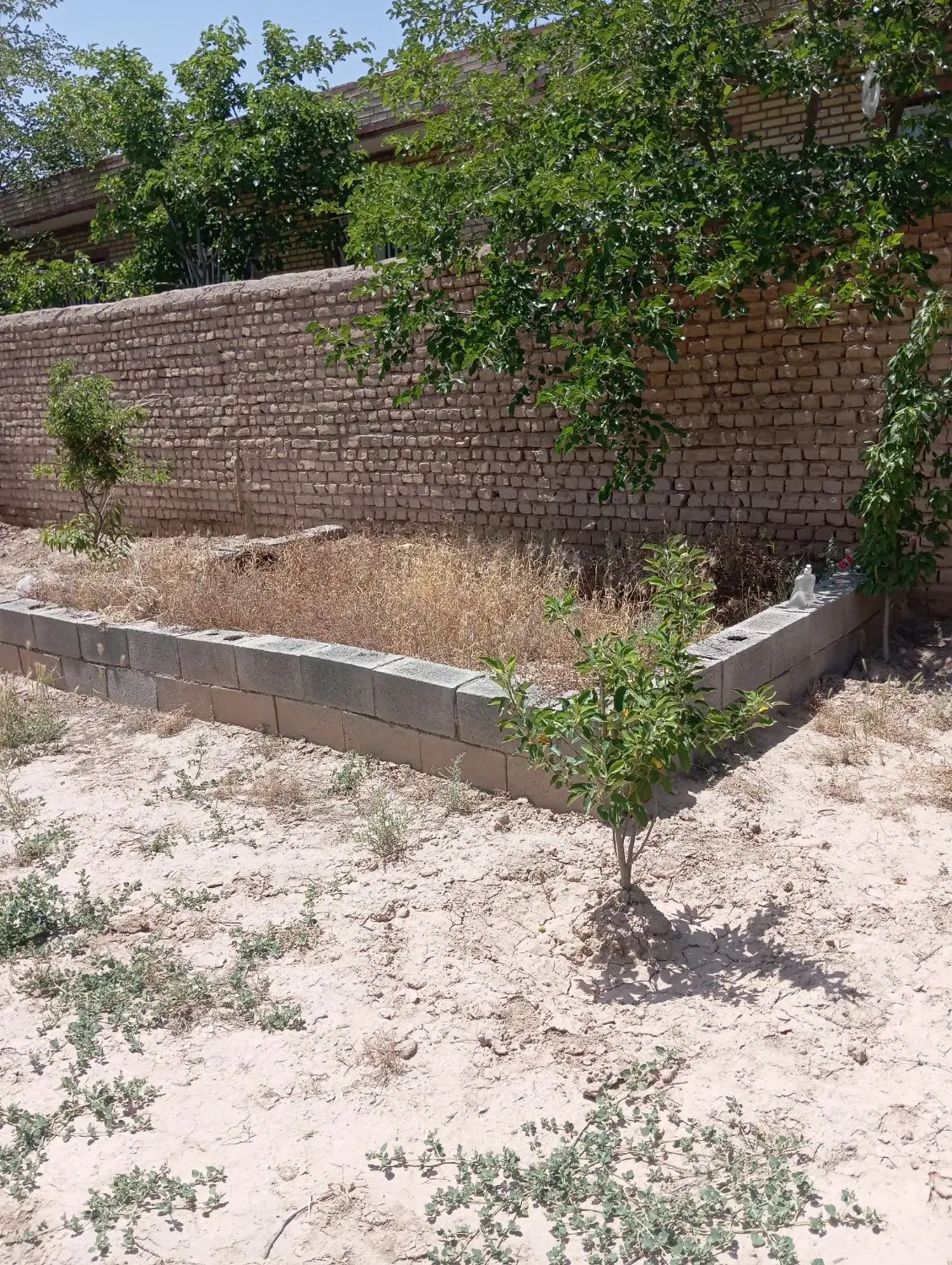 عکس 3 ملک 1183