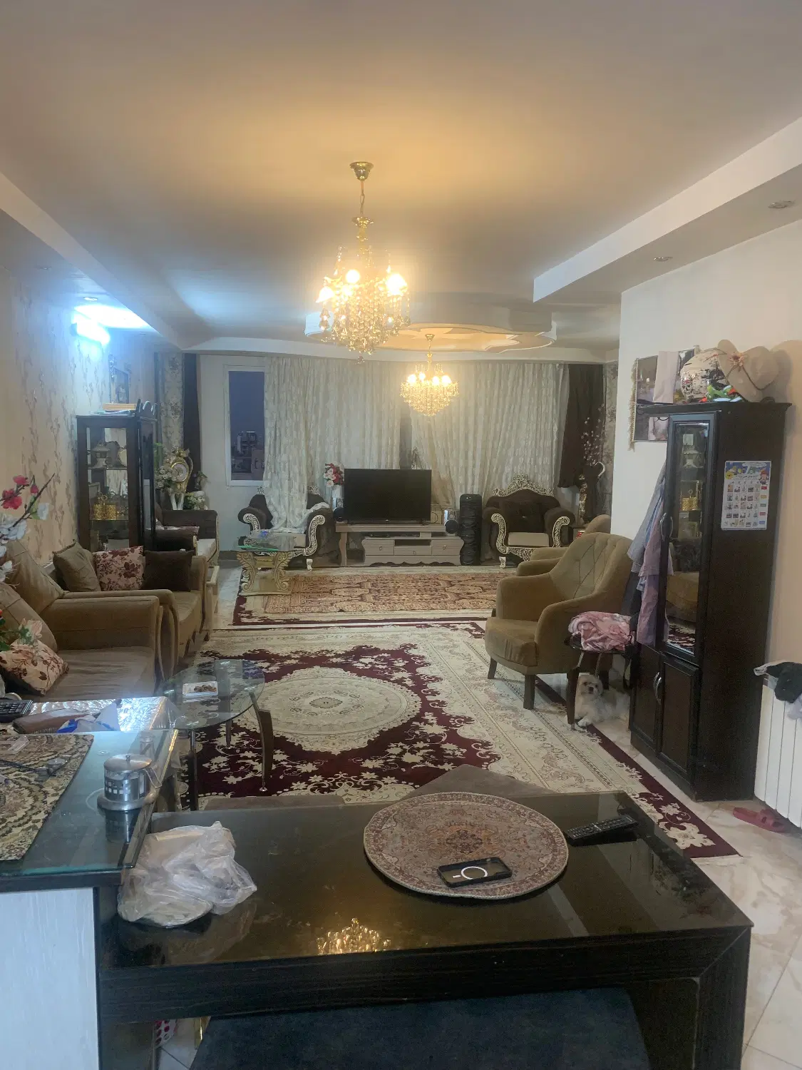 عکس 5