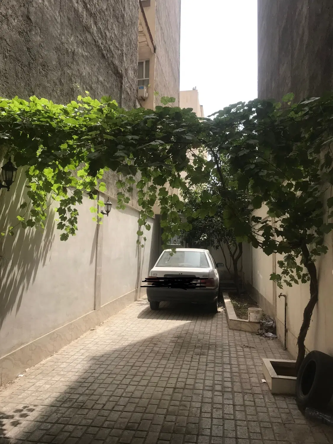 عکس 2