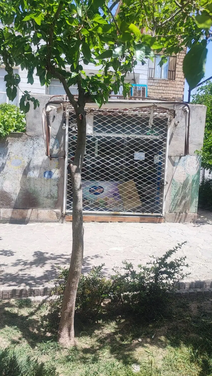 عکس 2 ملک 1492