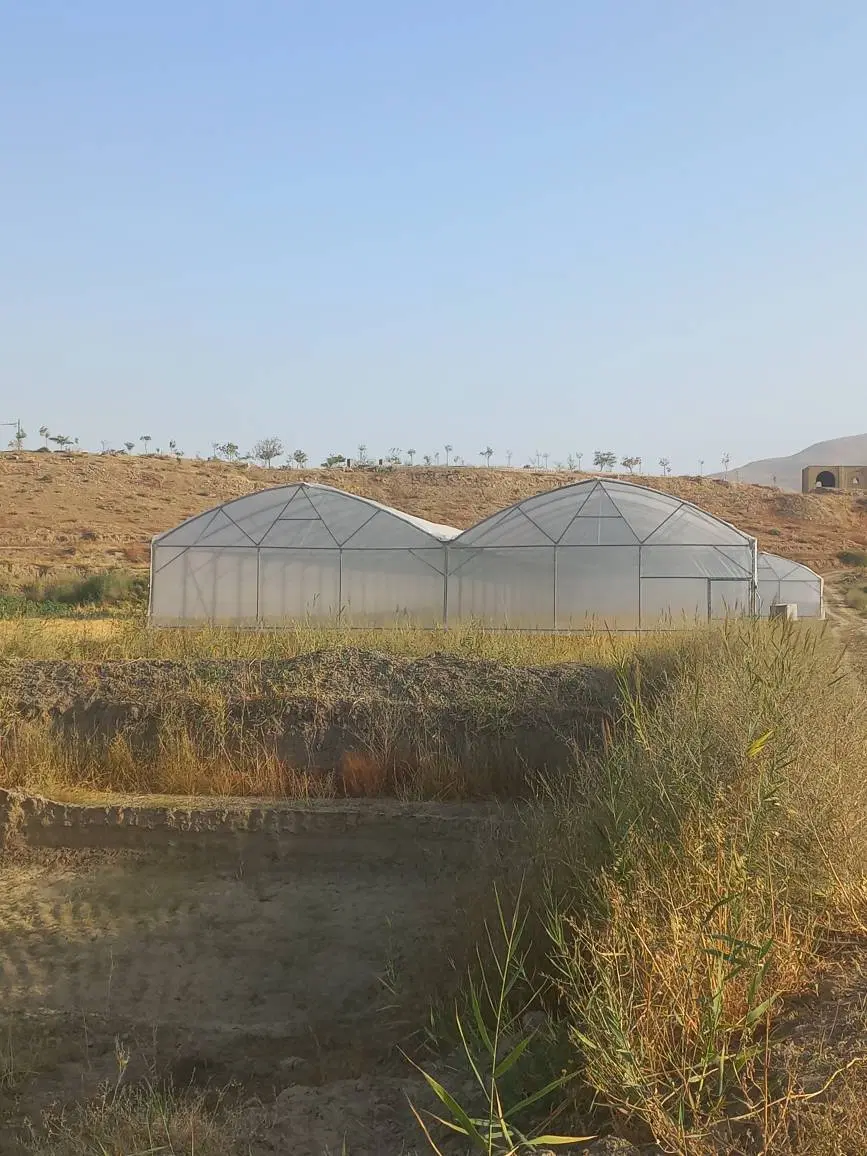 عکس 2 ملک 1543