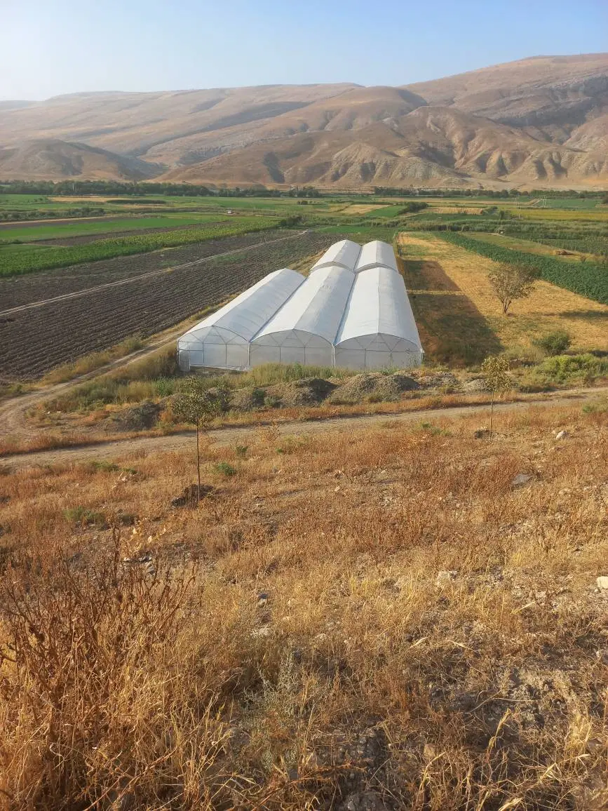 عکس 1 ملک 1543