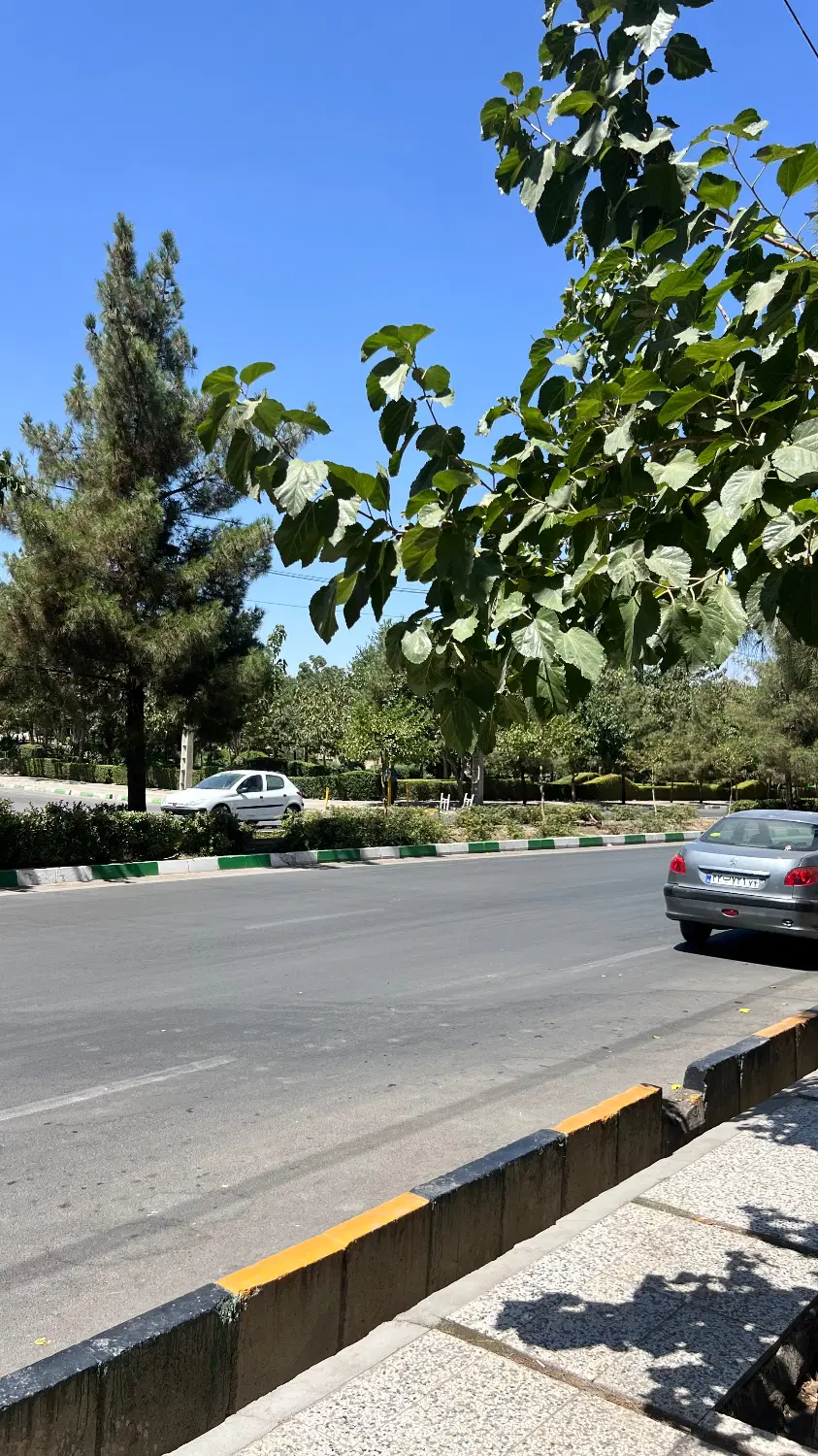 عکس 2