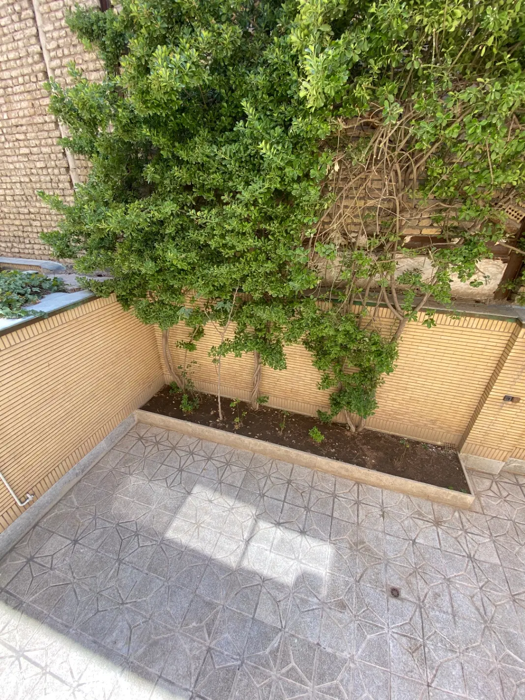 عکس 1 ملک 1643