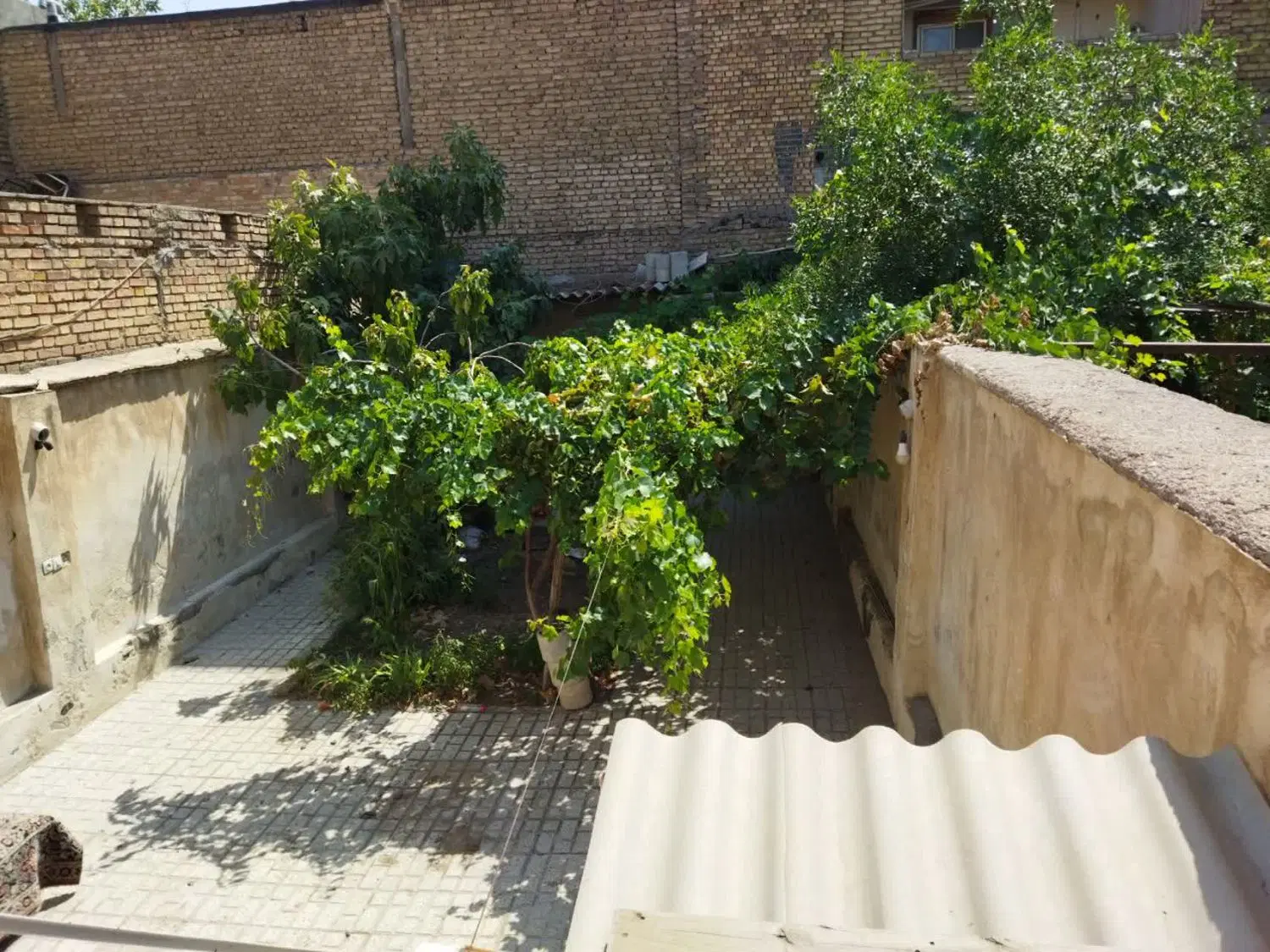 عکس 1 ملک 1718