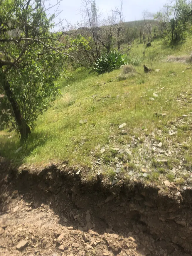 عکس 1 ملک 1770