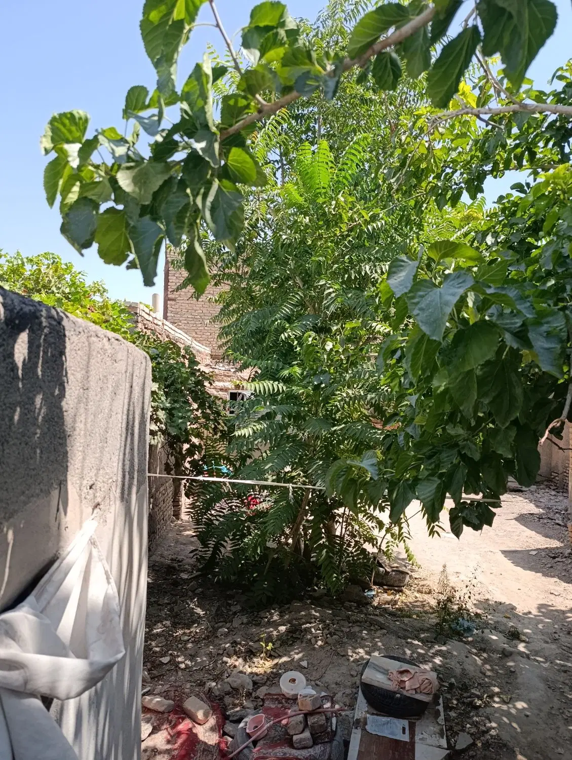 عکس 1 ملک 1826