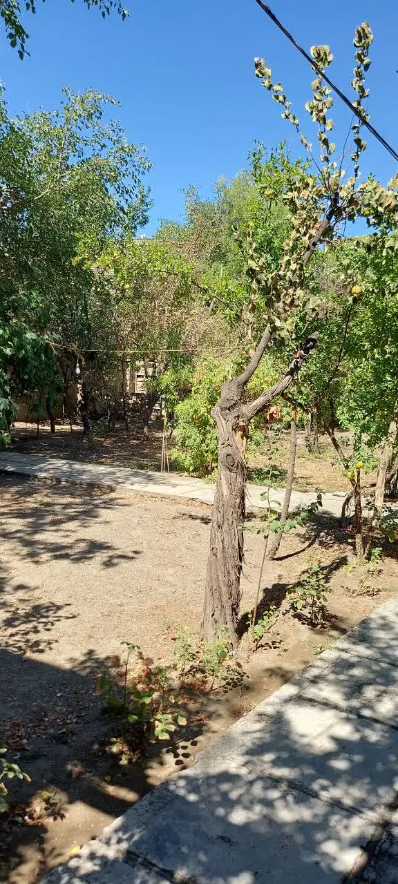 عکس 2 ملک 2176