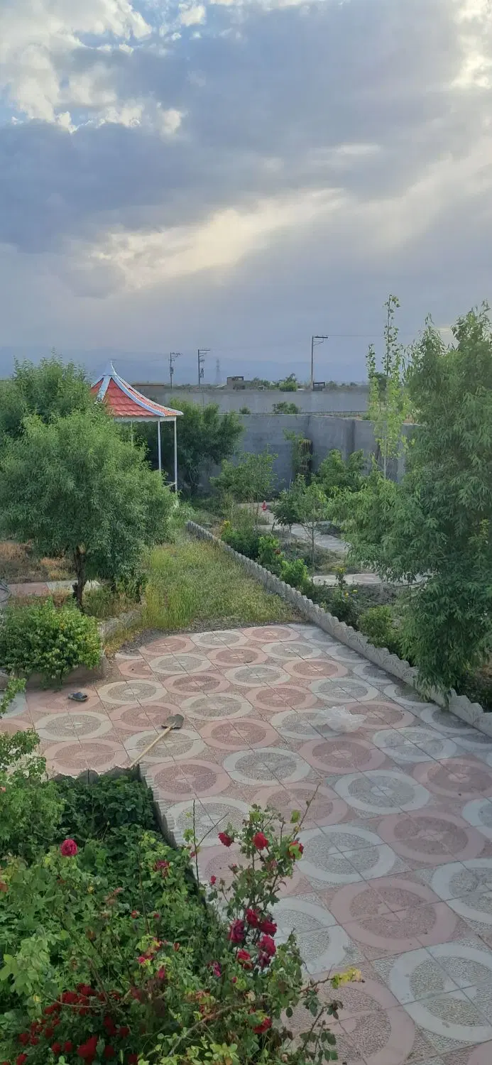 عکس 1