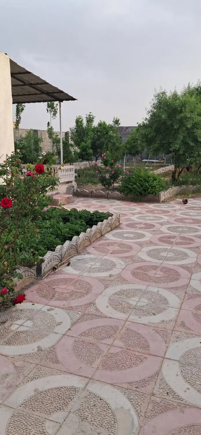 عکس 3