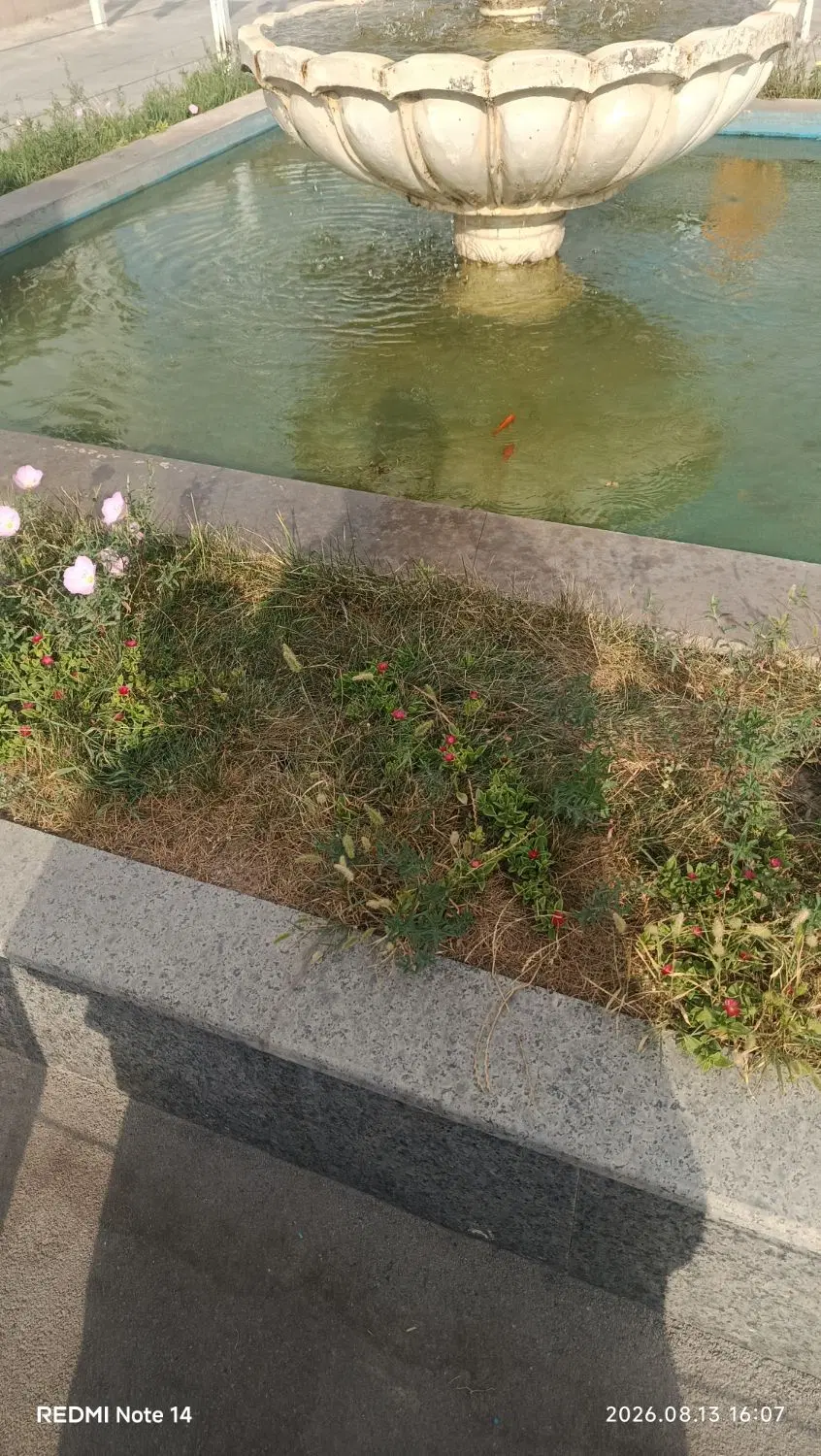 ویلایی وکیل آباد