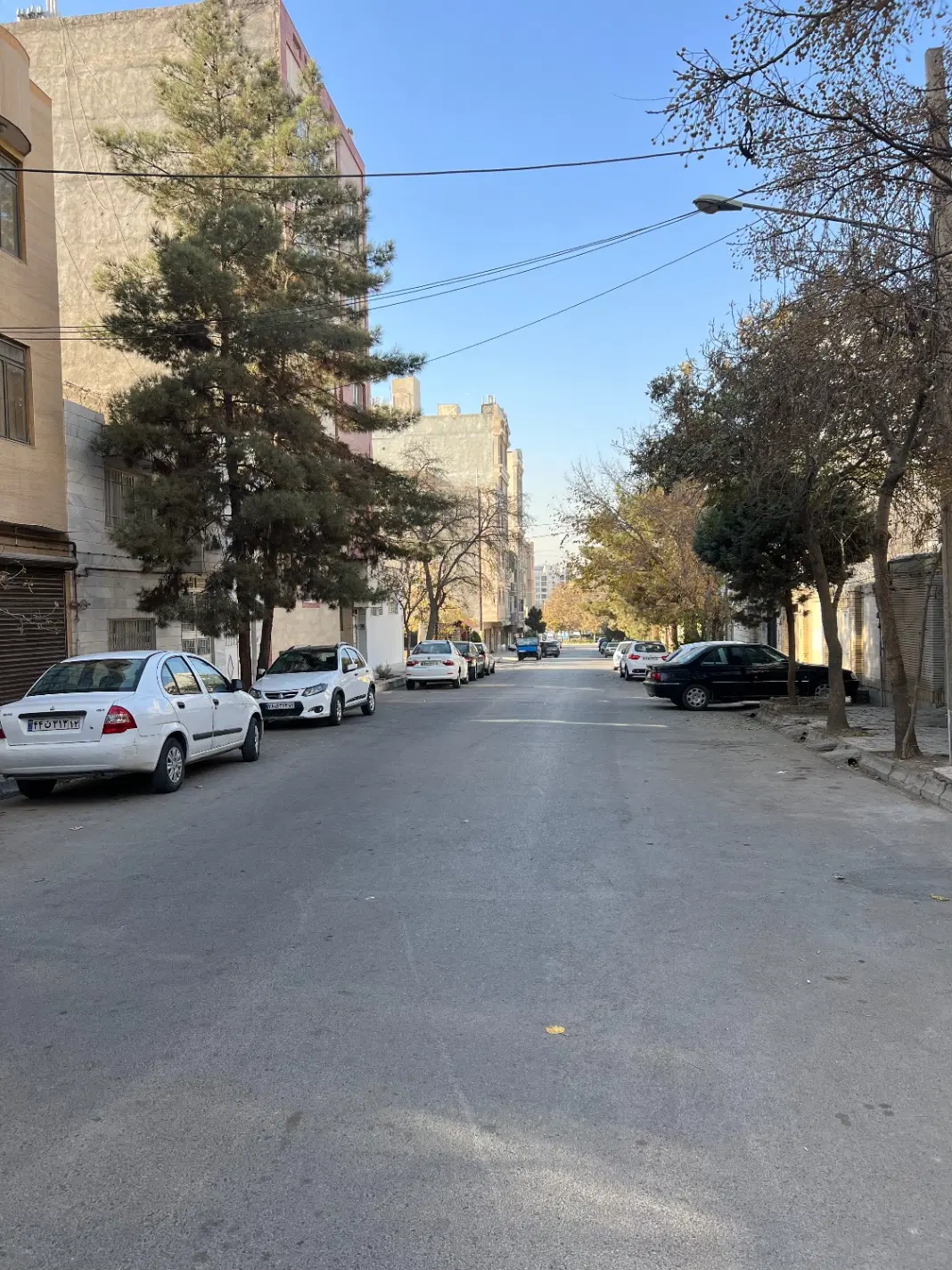 عکس 1 ملک 338